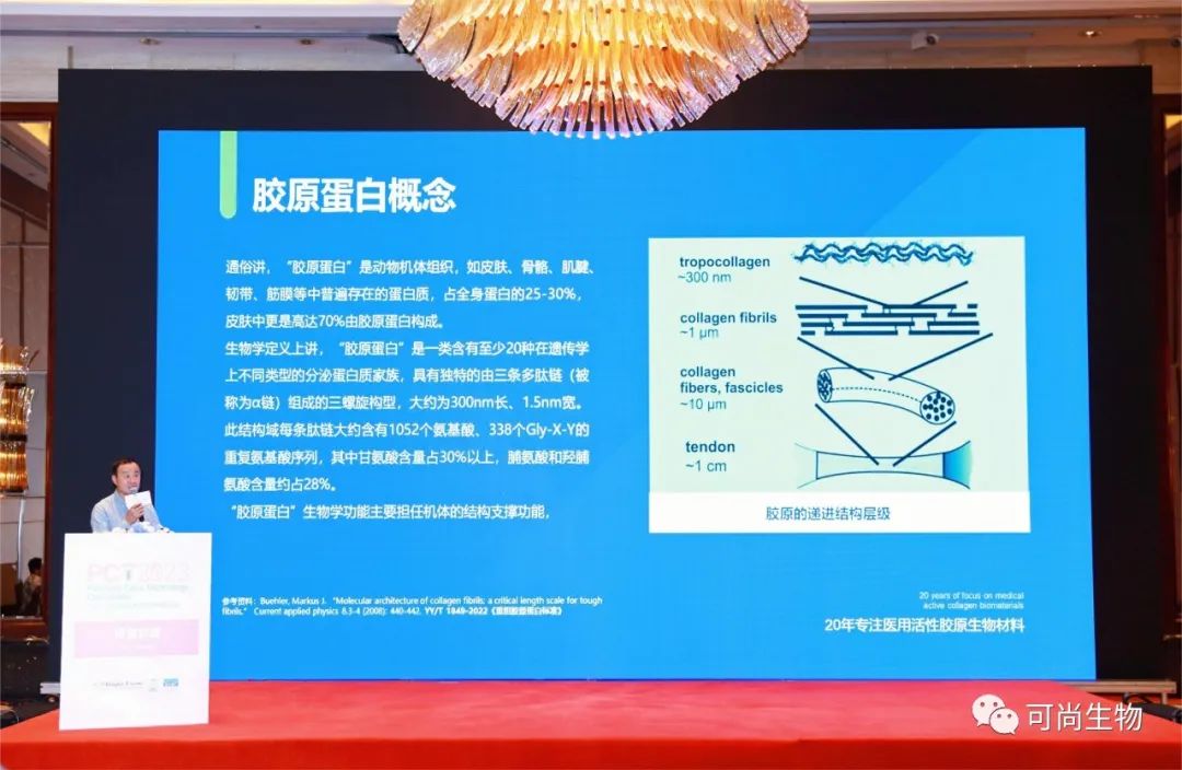 PCT2023圆满落幕，缺端胶原备受市场青睐